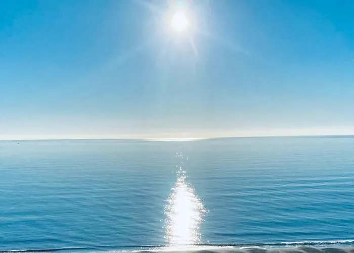 Reales 8b * 에스테포나